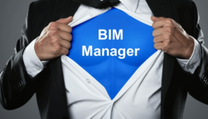 BIM manager